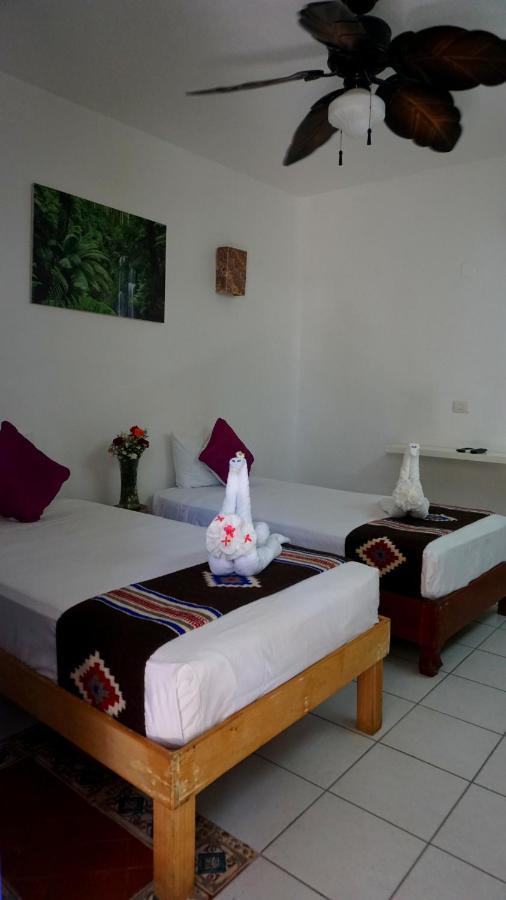 Selva Y Mar Apart Hotel Playa del Carmen Zewnętrze zdjęcie