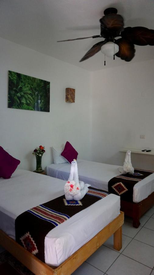 Selva Y Mar Apart Hotel Playa del Carmen Zewnętrze zdjęcie